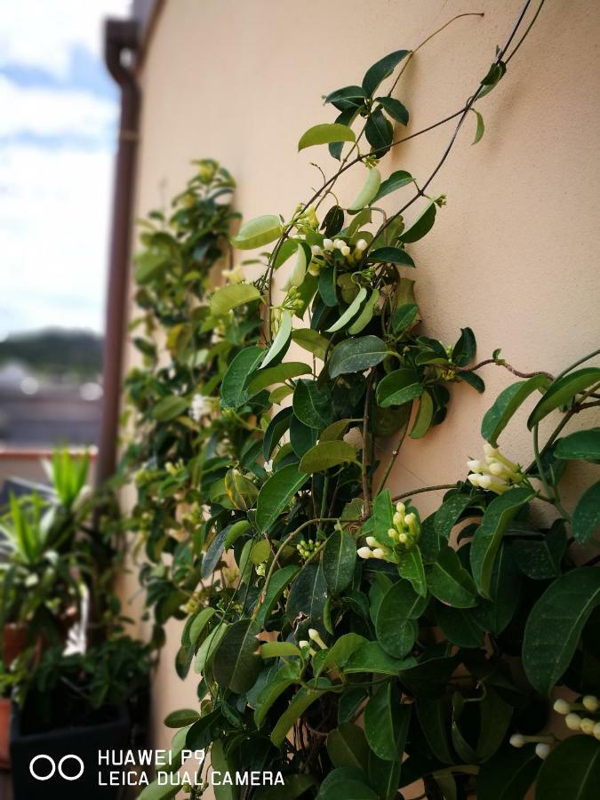 Apartamento Elafi Penthouse Cagliari Exterior foto